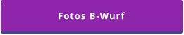 Fotos B-Wurf