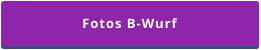 Fotos B-Wurf