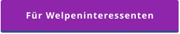 Für Welpeninteressenten